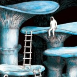 The Shroom Post