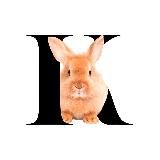 KROLEVARKA