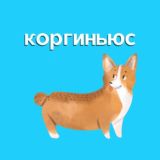 #КОРЖЕВОДЫ|Новости🔈