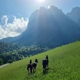 Minivan.Me 🏔️ пейзажные туры и авторские путешествия 🚐