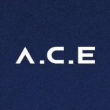 A.C.E BRASIL: GRUPO