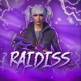 RAIDISS