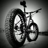 FatBike Baikal