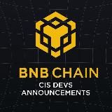 CIS Devs - BNB Chain