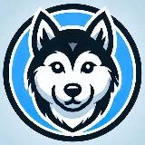 Husky Inu | OFFICIAL CHANNEL