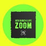 SEO BURZH LIFE ZOOM