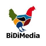 BiDiMedia