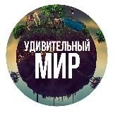 Удивительный Мир 🌍