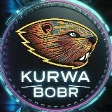 KURWA $BOBR [new $DOGE on TON]