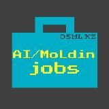 AIMoLdin JOBS