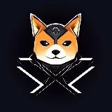 xAIDOGE News