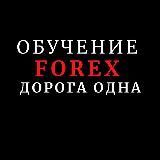 Торговля FOREX