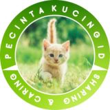 Pecinta Kucing ID