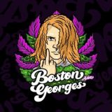 BostonGeorges.Asia / Cannabis Wholesale