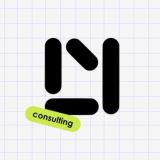 LY consulting