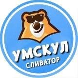 Сливы курсов УМСКУЛ