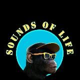 Sounds of life