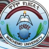 Wachemo university students