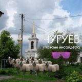 Чугуев 🕶 глазами инсайдера 🐏🐑🐑🐑🐑