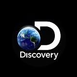 Discovery 🌍