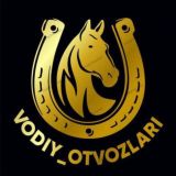 VODIY_OTVOZLARI🐎