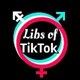 Libs of TikTok Fans