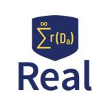 Real Digital Asset Index