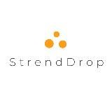 Дропшиппинг StrendDrop Виктор Дроп