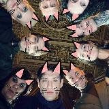🩸Битва котиков🩸
