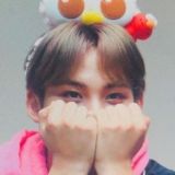gyuldaengies 🐶