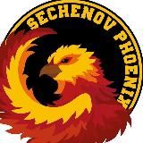 🔥 Sechenov Phoenix 🔥