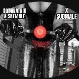 Dominatrix & Shemale on Submale & Sissy