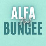 Alfa Gravity & Bungee Studio