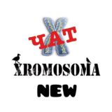 Чат XROMOSOMA 2.0 🔞