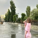 полинк