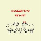 Вещание ягнят🎙🐑