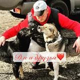ДМ и Друзья новости❤️