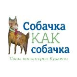 СобачкаКакСобачка