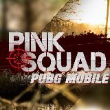 PINK SQUAD LITE | ЧИТЫ НА ПАБГ ЛАЙТ