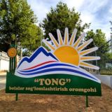 Tong_2021_official