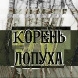 Корень лопуха