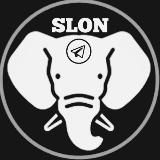 SLON ✙