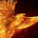 Phoenix Staking