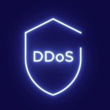 DDoS × ZVU