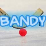 BANDY - хоккей с мячом 🏑