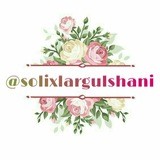 Solixlargulshani
