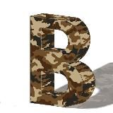 Banak.info ռազմական մասնագիտացված կայք