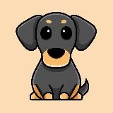Любопытные существа🐾