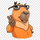 Животные