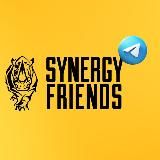 Synergy Friends | «Синергия»